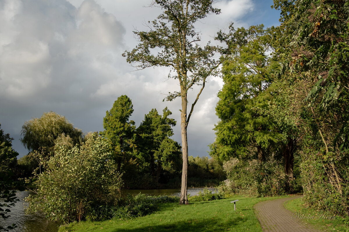 Октябрьским днём... - Николай Гирш