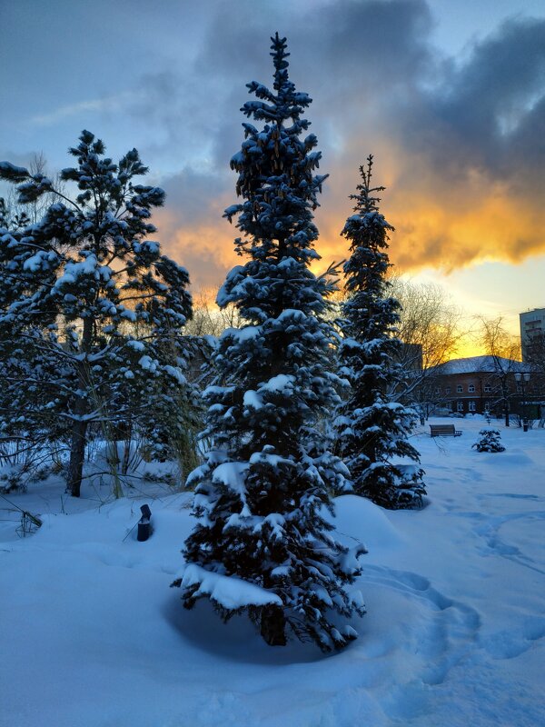 С Новым годом! - Андрей Лукьянов