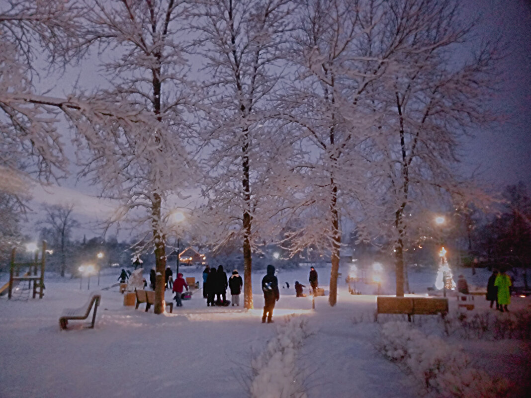 Летний сад - Сергей Кочнев