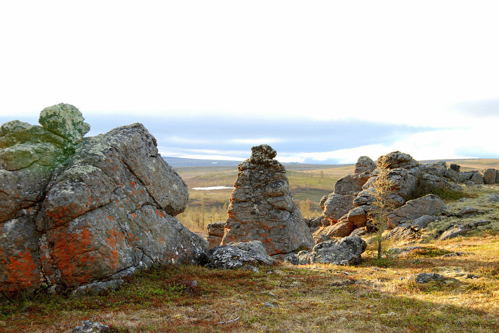 ЯМАЛ - Tata Wolf