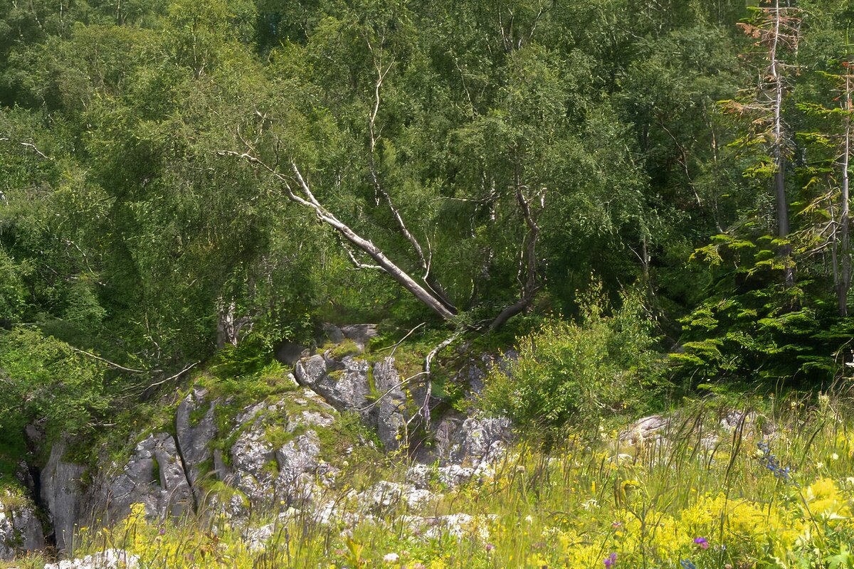 Лаго-Наки - Игорь Сикорский
