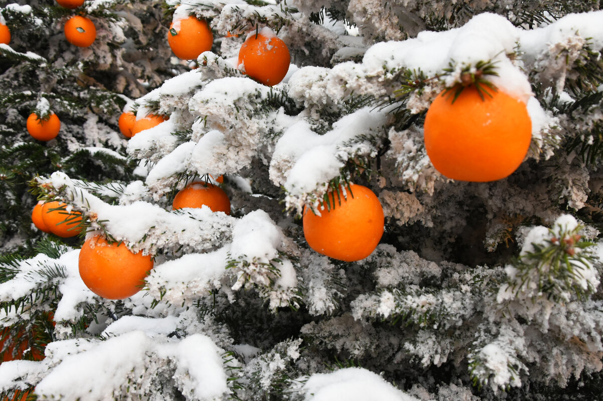 Предновогодняя Москва. Путешествие в Рождество. - Наташа ***** Предновогодняя Москва. Путешествие в Рождество. - Наташа *****