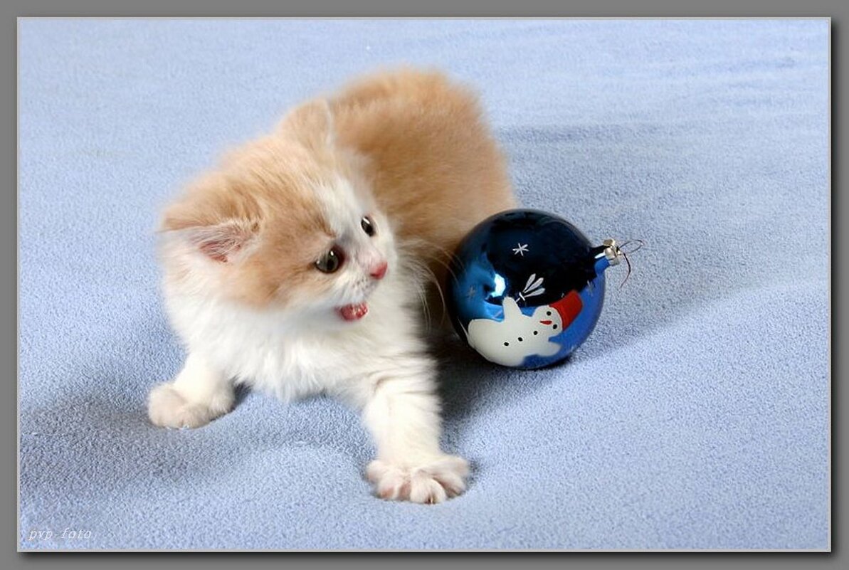 Ну держись Новый год! - Владимир Попов