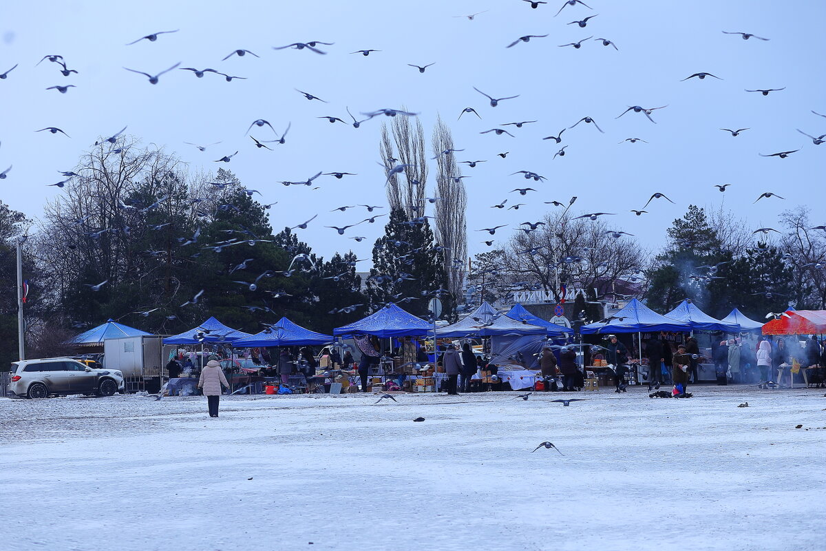 Предновогодняя ярмарка - Юрий Гайворонскiий