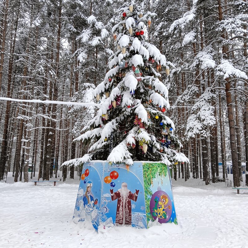 с новым годом - Владимир 