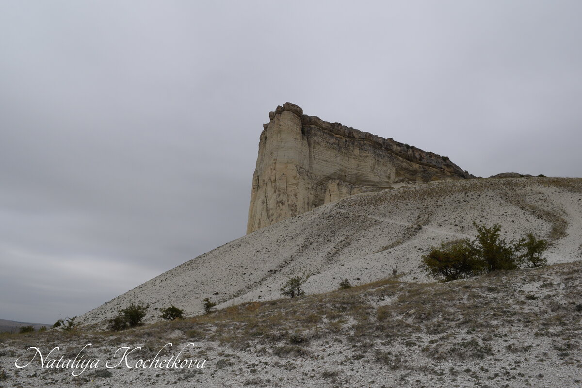 Природа Крыма - Amazing Cosmea