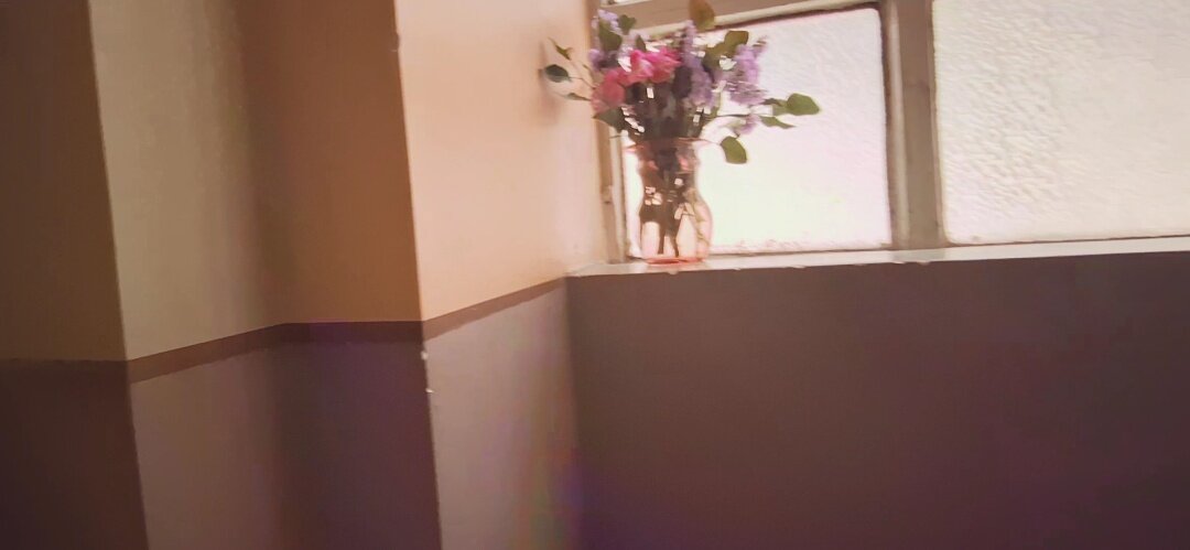 13  ОПЕН (796) - OPEN WAYS ALL