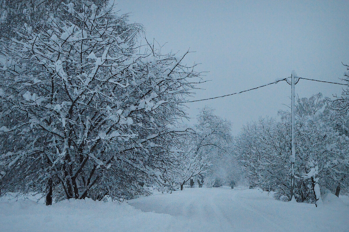 Утренний снегопад.... - Надежда Куркина 