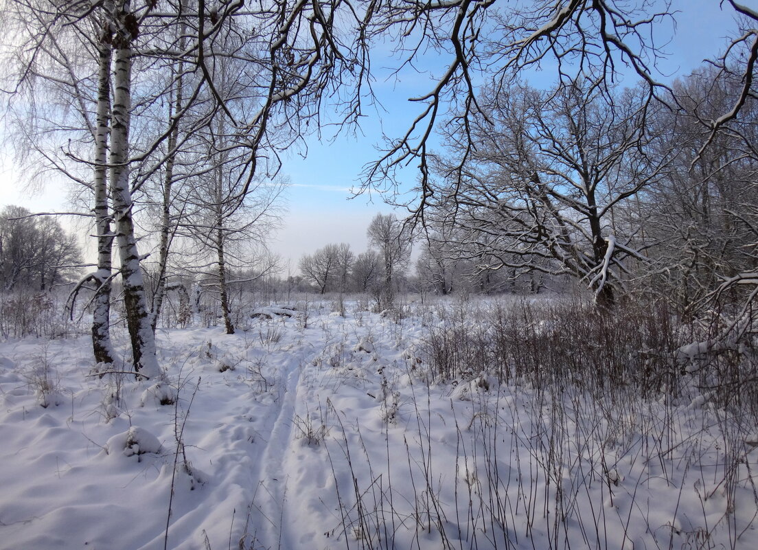На лыжах) - Андрей Зайцев