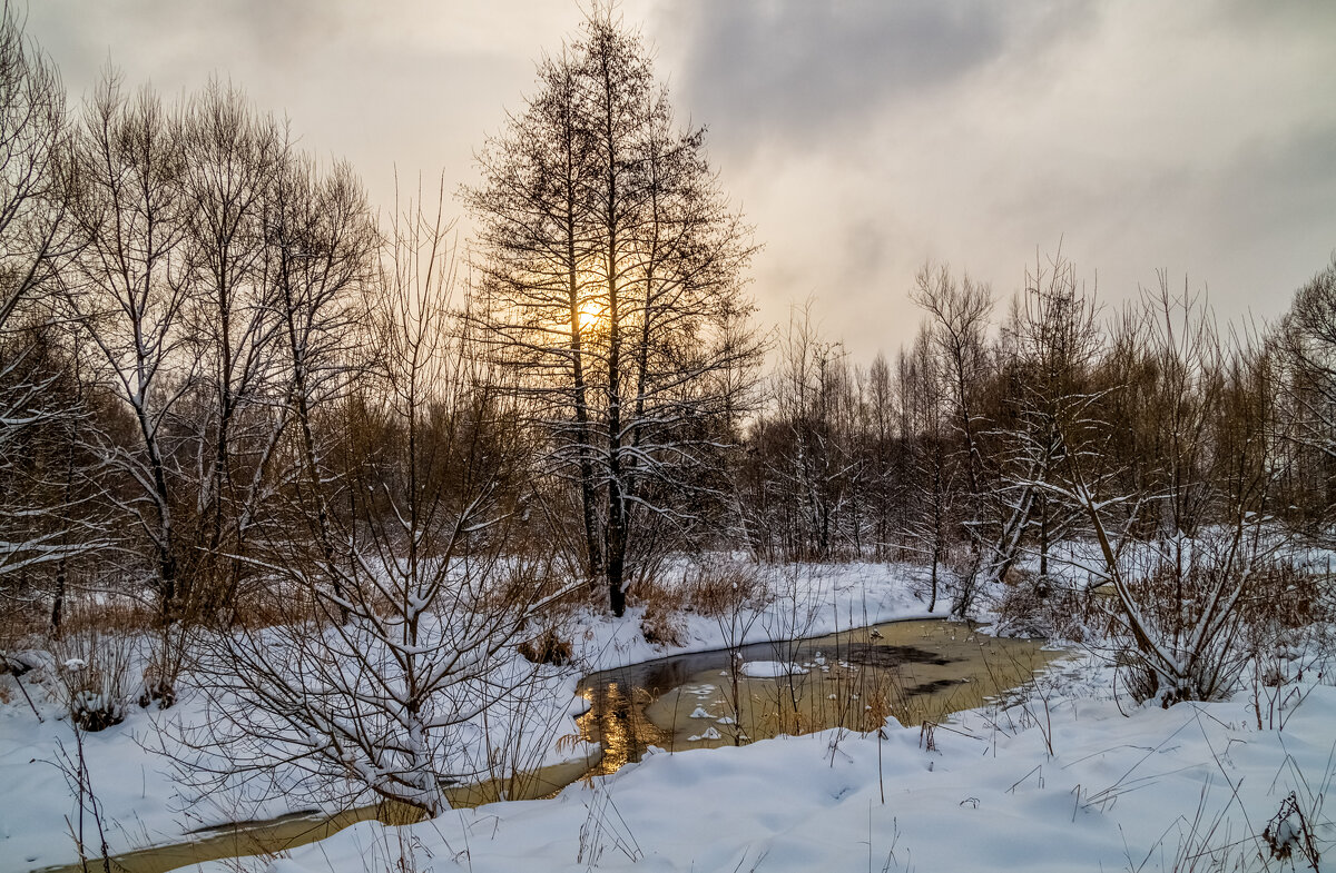 Перед новым годом 2 - Андрей Дворников Перед новым годом 2 - Андрей Дворников