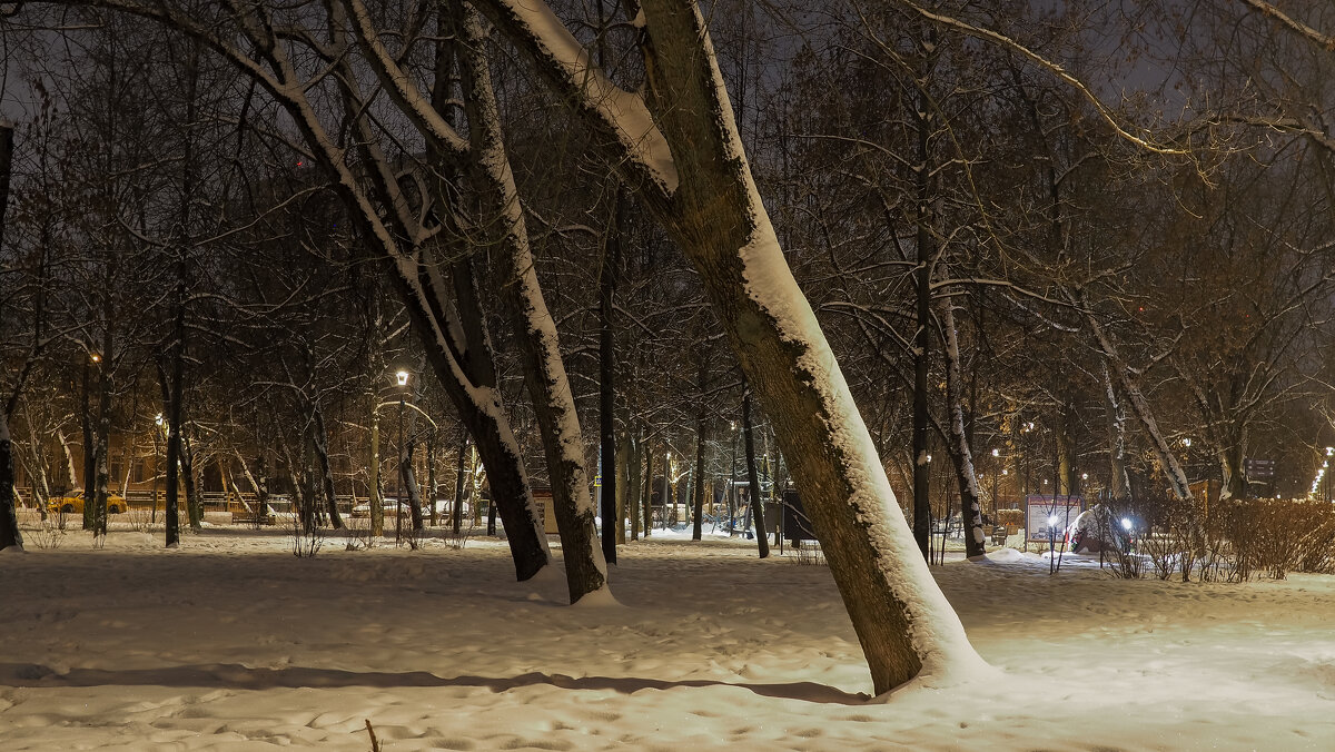 Зимний Вечер - юрий поляков
