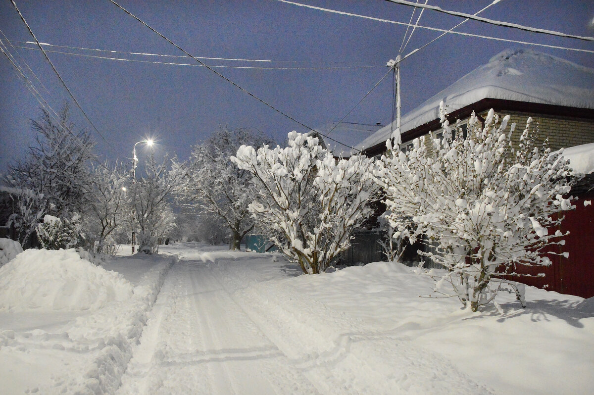 Ставрополье осчастливила Зима...утро 31 декабря... - Надежда Куркина 