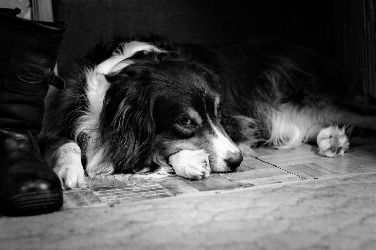 утомленный сугробами - Артём 