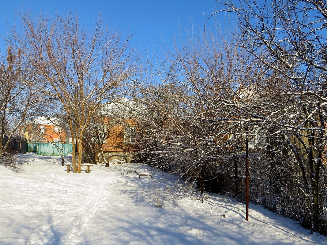 За окном сад заснеженный, тишина и покой - Татьяна Смоляниченко