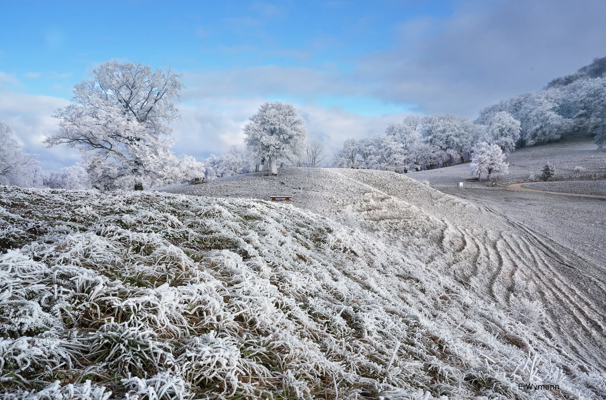 Winter Märchen - Elena Wymann