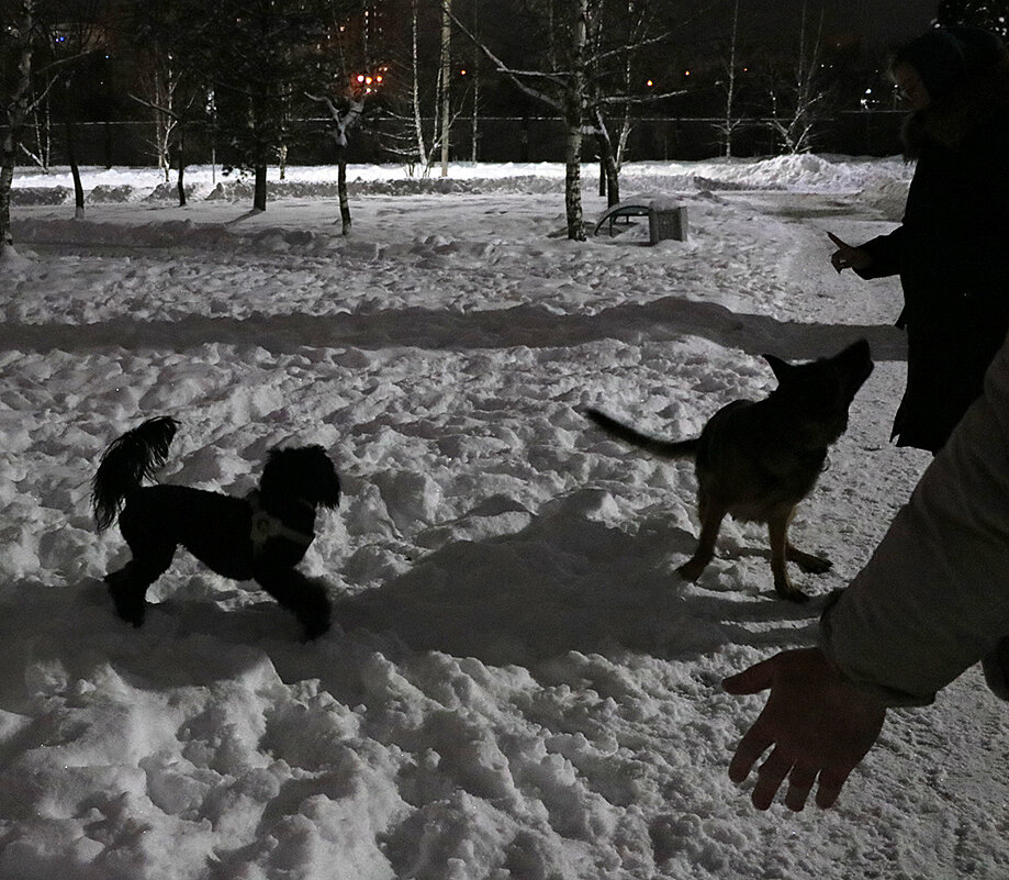 Театр теней - Светлана 