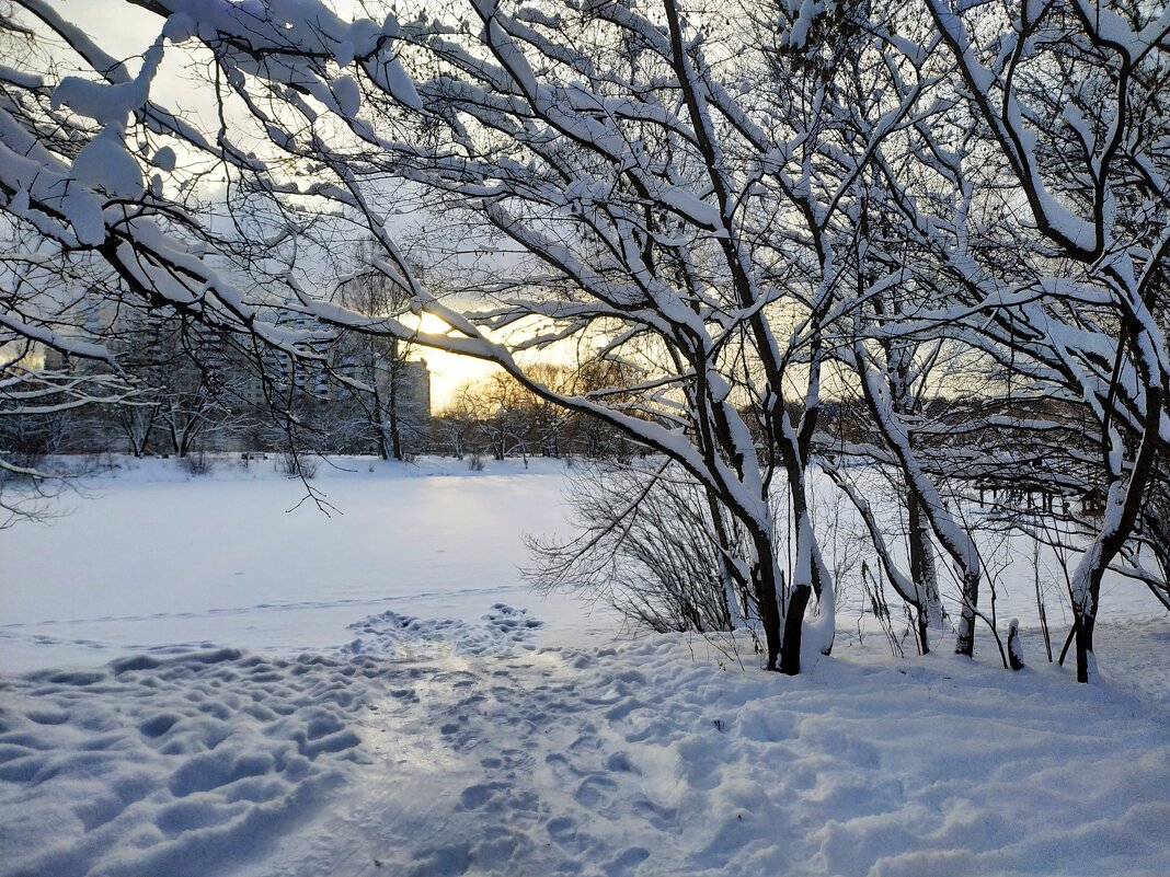 Вступаю в 2026-й - Андрей Лукьянов