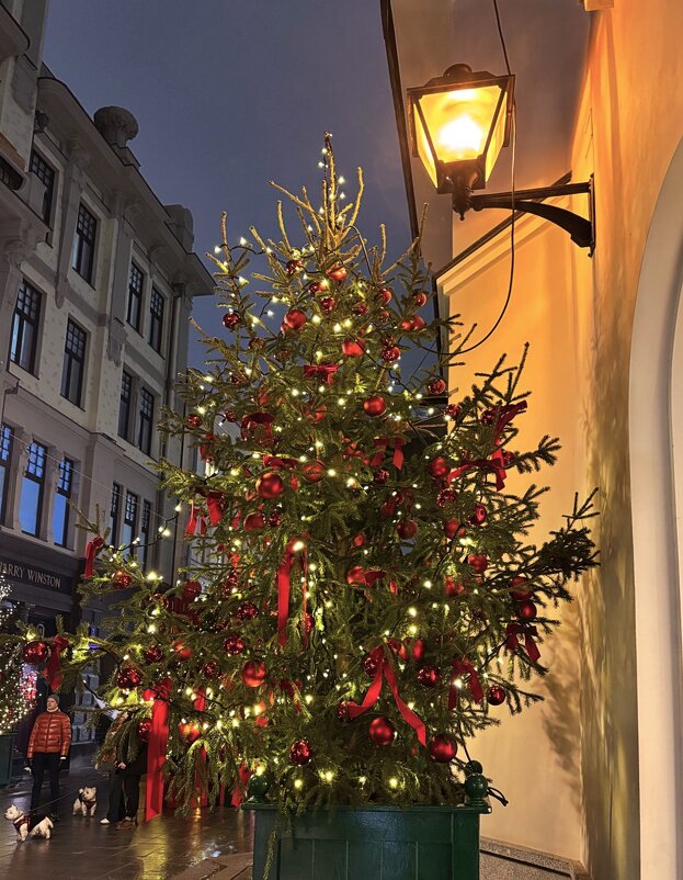 Новогодний вечер - Мария - Maria