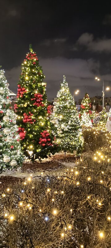 новогоднее - Галина R...