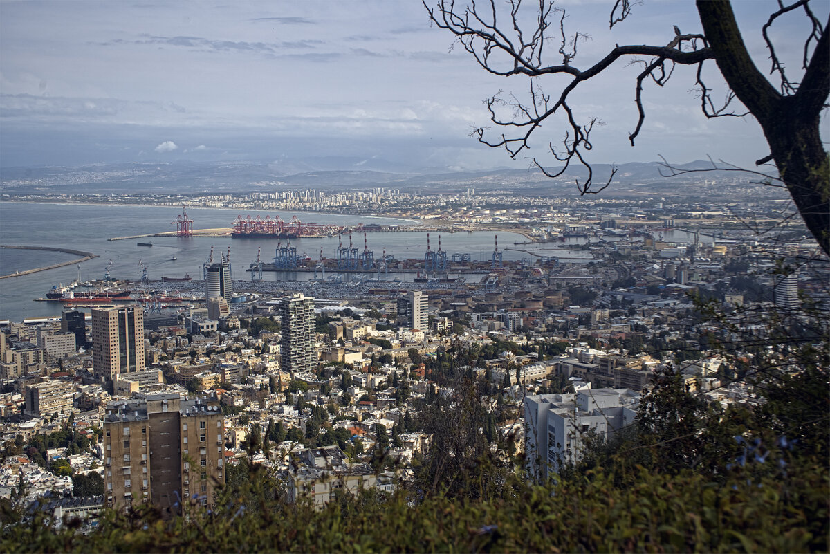 2025г Хайфа - ujgcvbif 