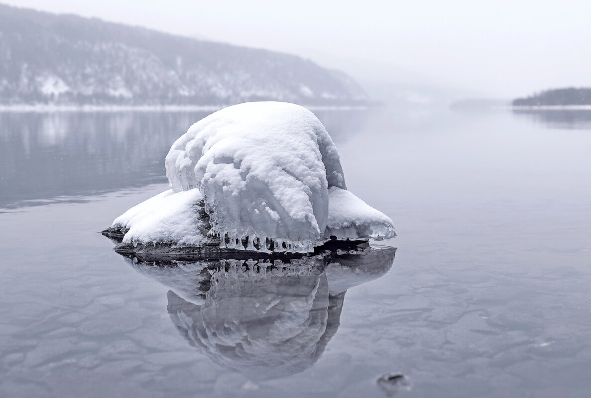 Неведома зверушка - Марина Фомина.