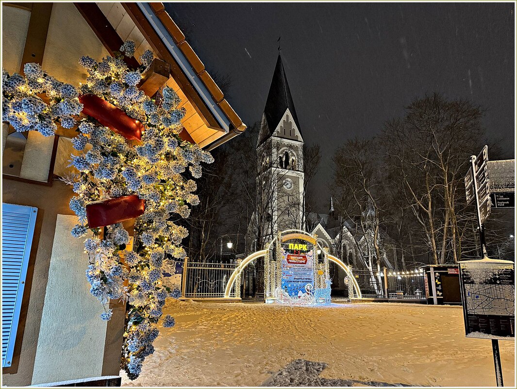 Новогоднее. У входа в Центральный парк. - Валерия Комова