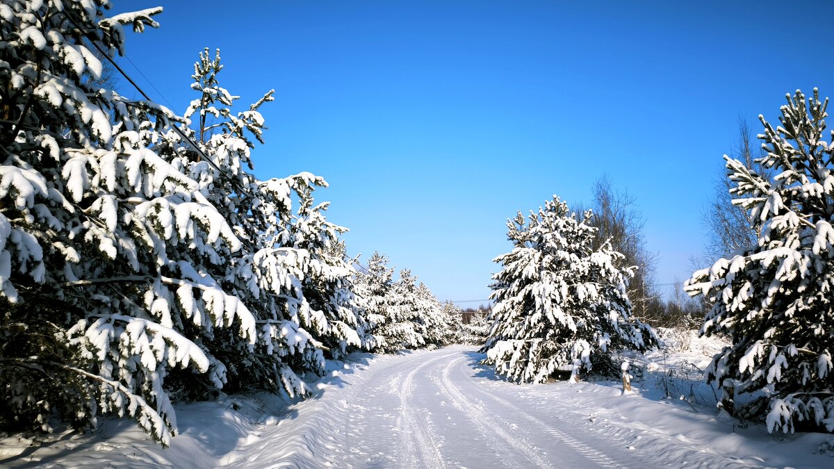 Зимняя дорога - Александр Сансар