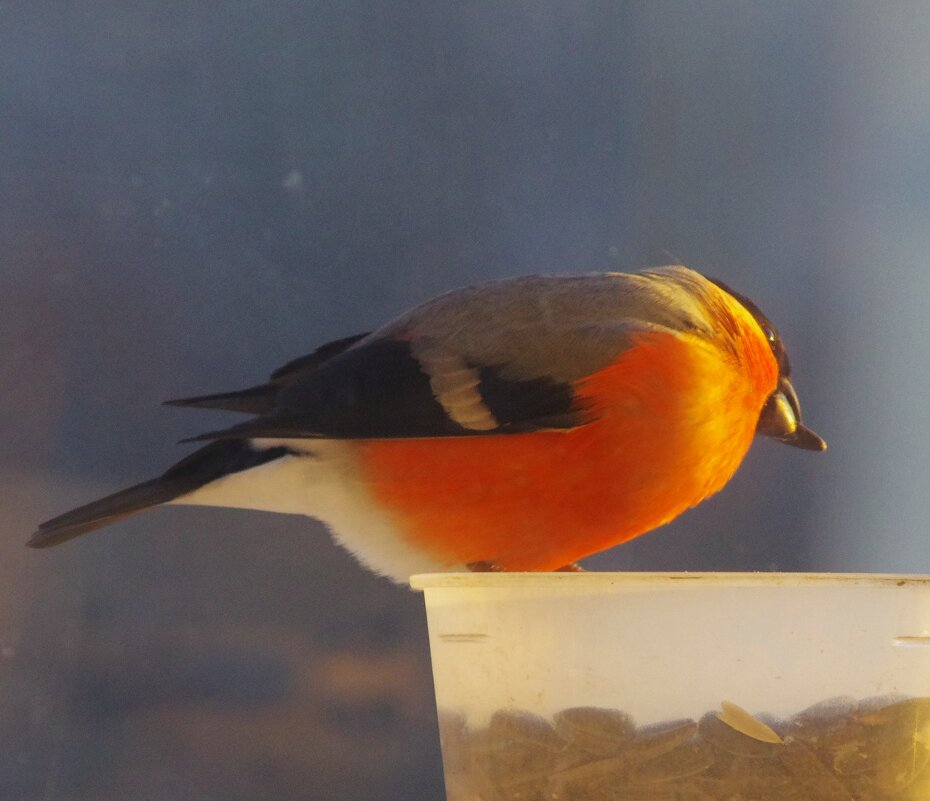 Вчера было это... - Юрий Куликов