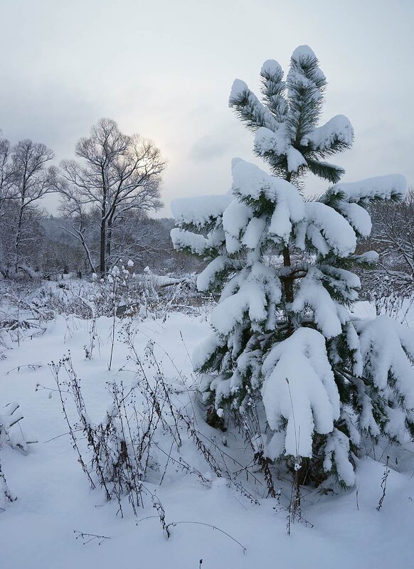 Утро 31-го декабря - Сергей Курников Утро 31-го декабря - Сергей Курников