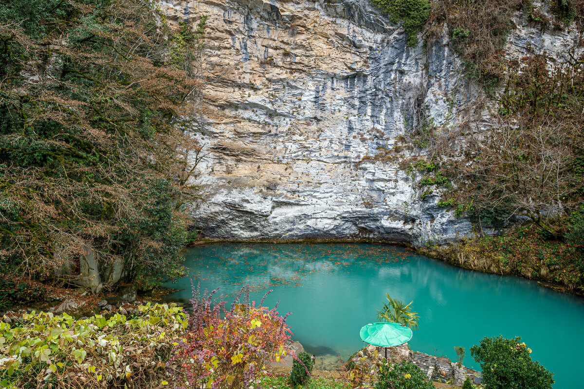 Зелёный зонтик - Eugene *