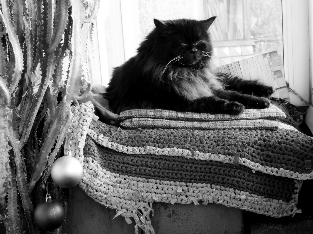 С новым годом, дорогие соотечественники! - Maria Rainer