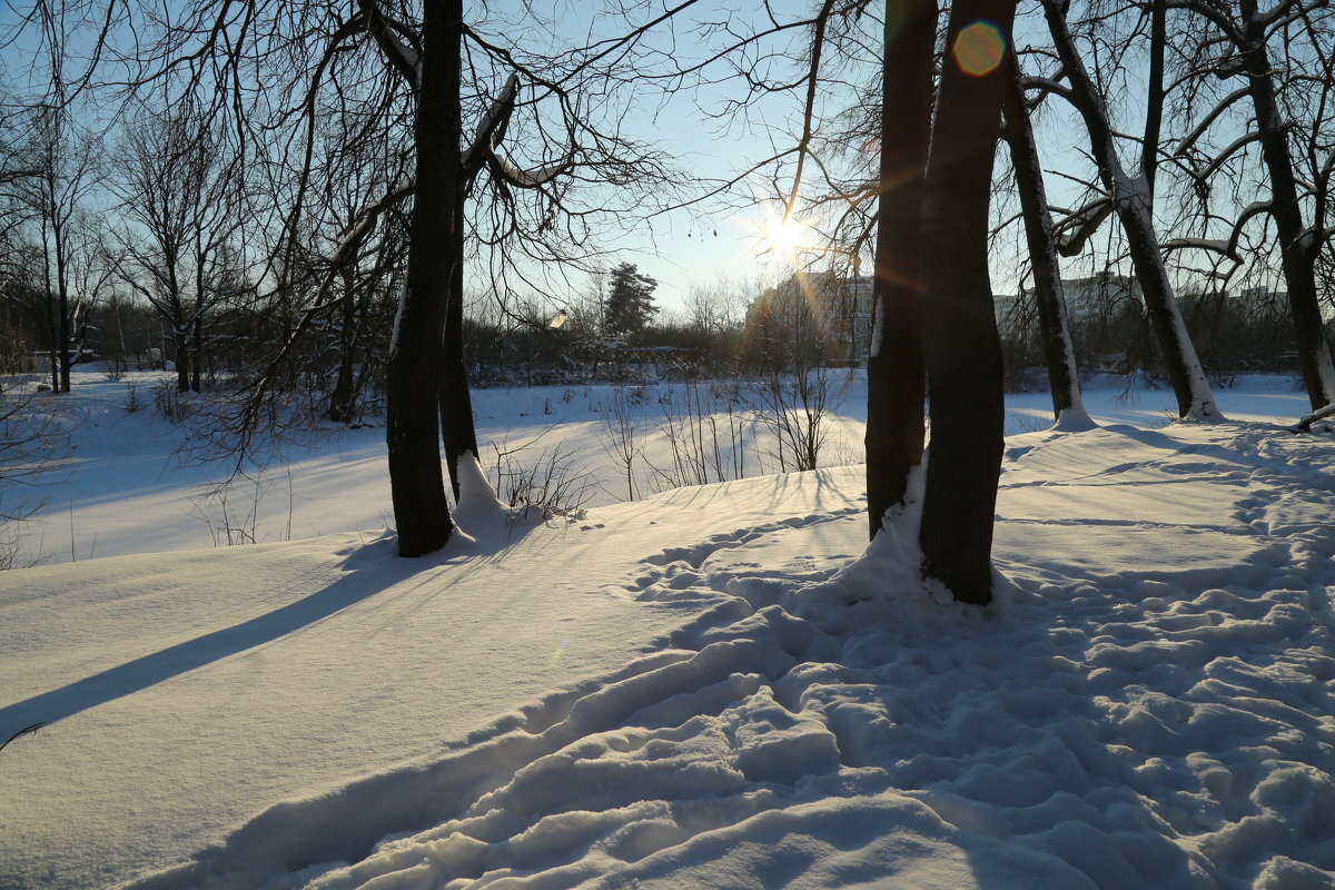 Январские тени - ZNatasha -