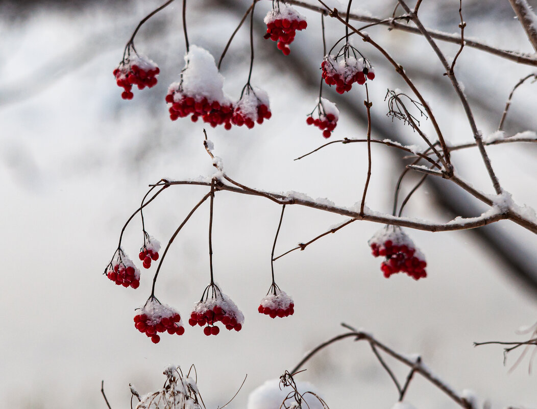 ... - Олег Загорулько