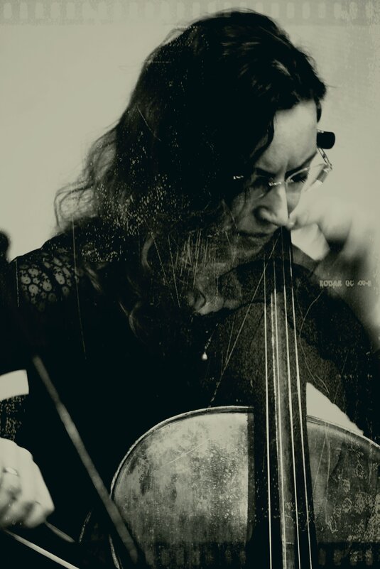 виола - Дмитрий Потапов