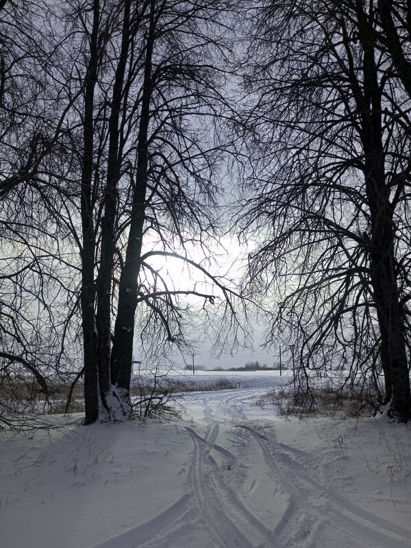 Зима 2026 - Sergei Vikulov