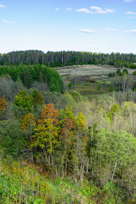 красота осени - Александр Тихомиров красота осени - Александр Тихомиров