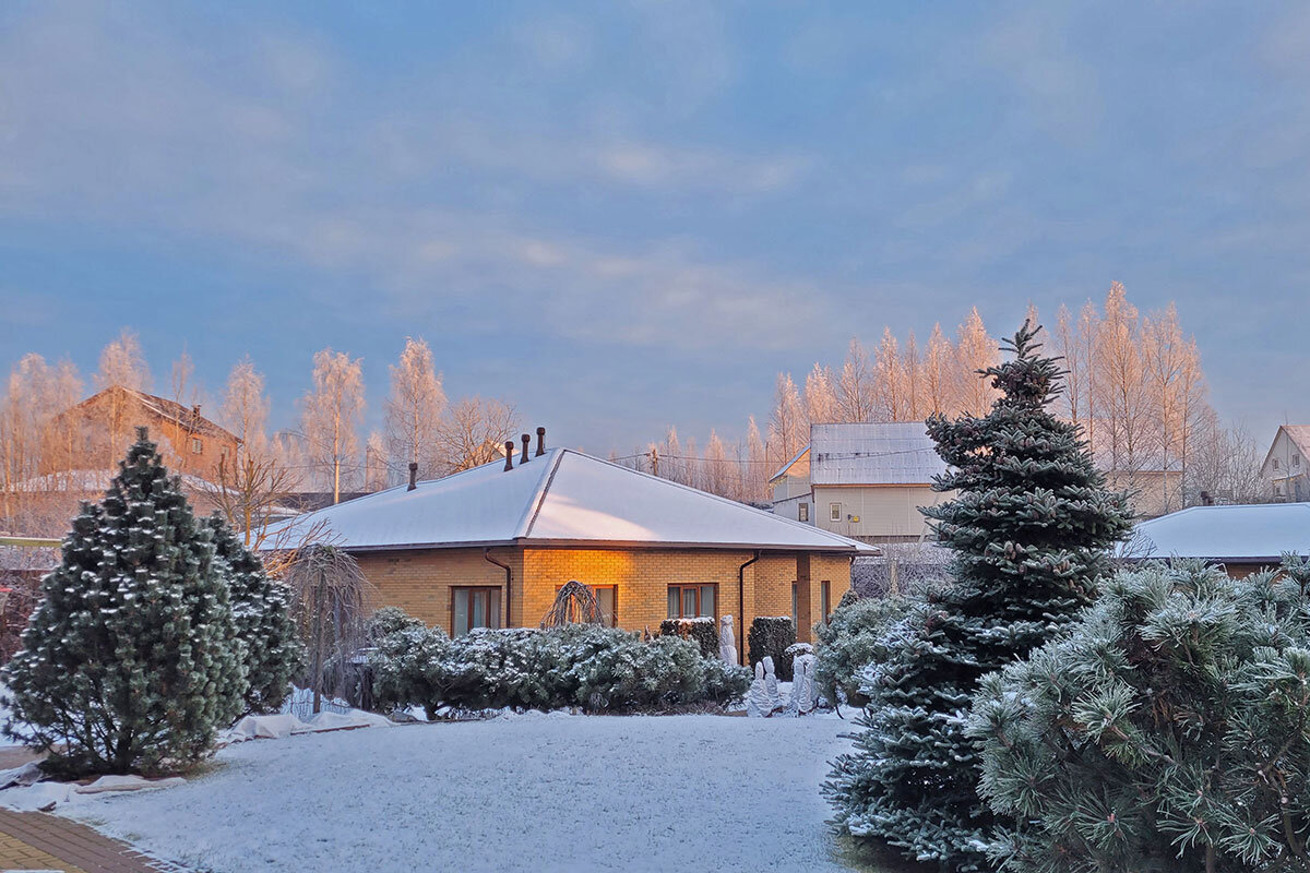 Зимний сад - Александр Трухин