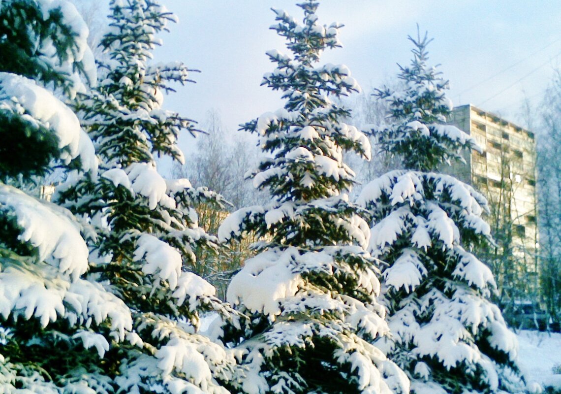 городская среда - Владимир городская среда - Владимир