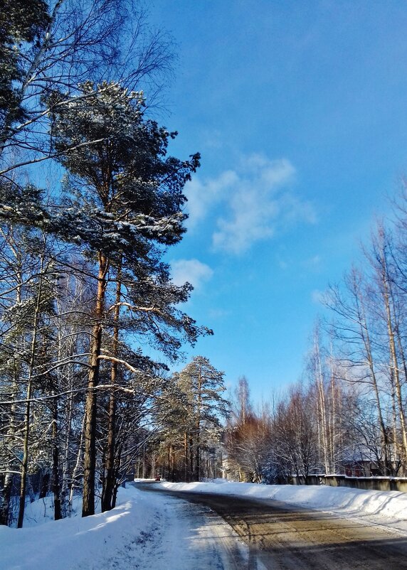 дорога небо голубое деревья - Владимир 