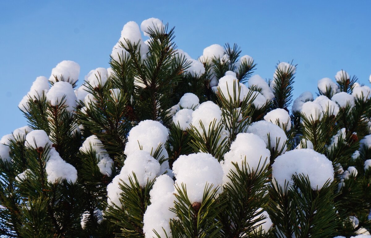 Снежные шарики - Nataly St. 