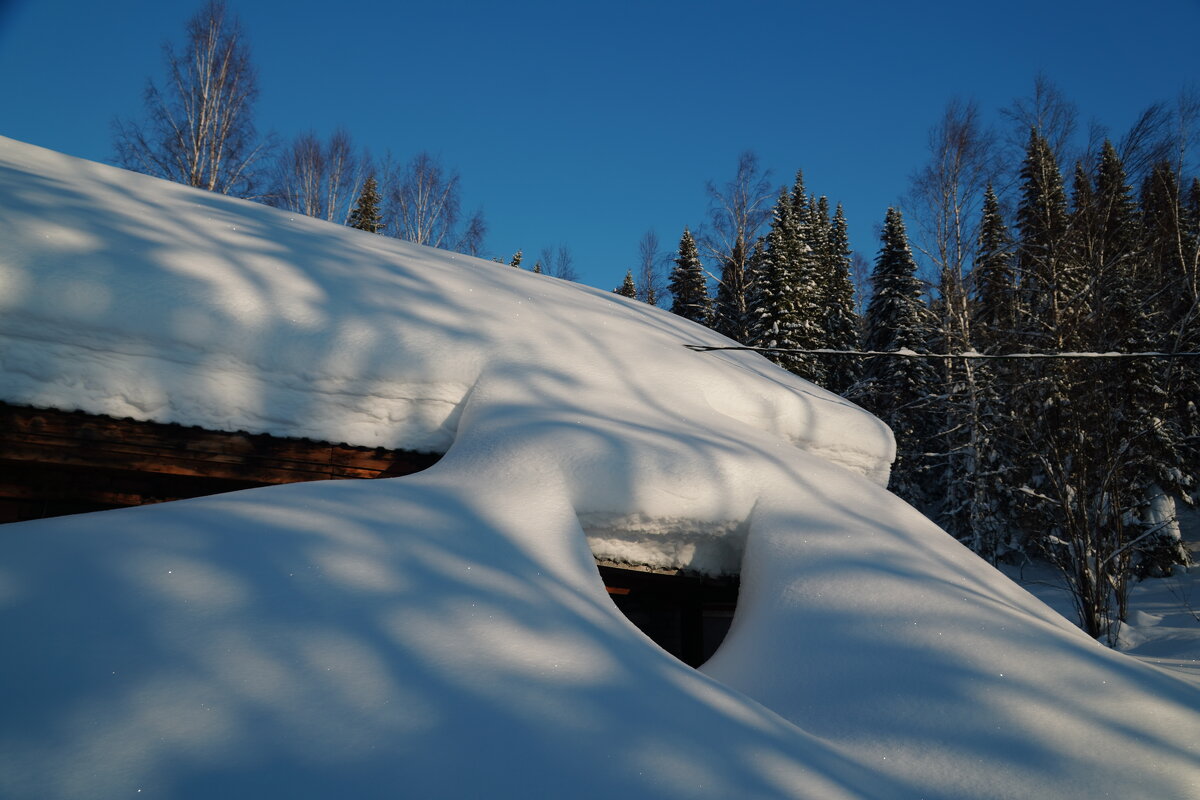 Подзанесло - Павел Трунцев Подзанесло - Павел Трунцев