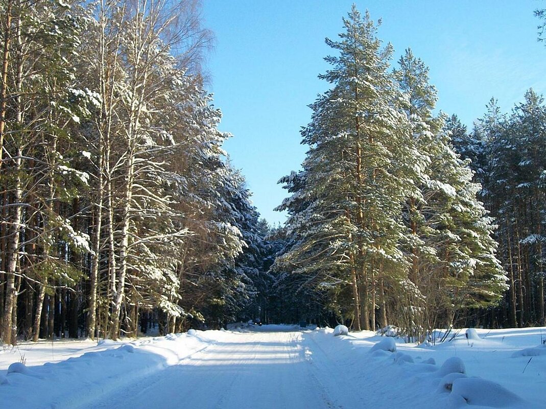 Зимний пейзаж - Наталья Куликова Зимний пейзаж - Наталья Куликова