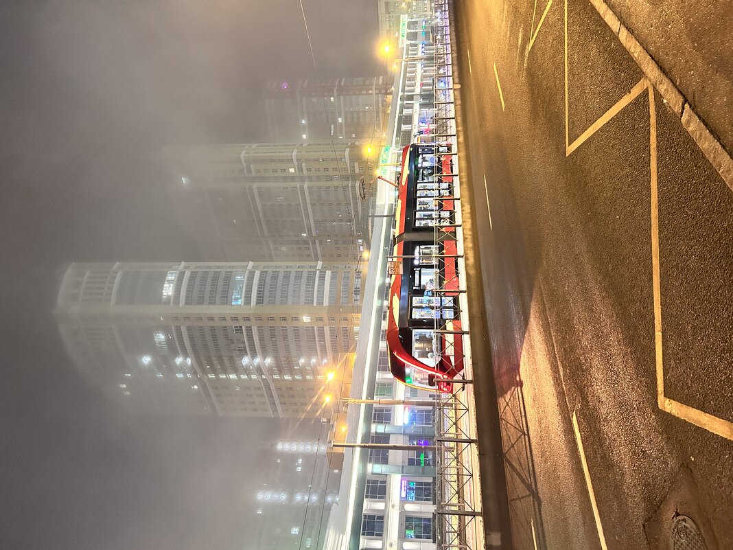 Утро. Туман. - Марина Панькина