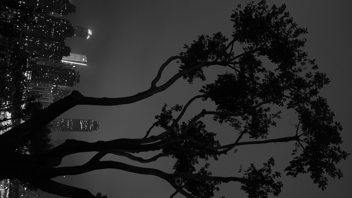 Ночной Чунцин - Сергей Матвеенко