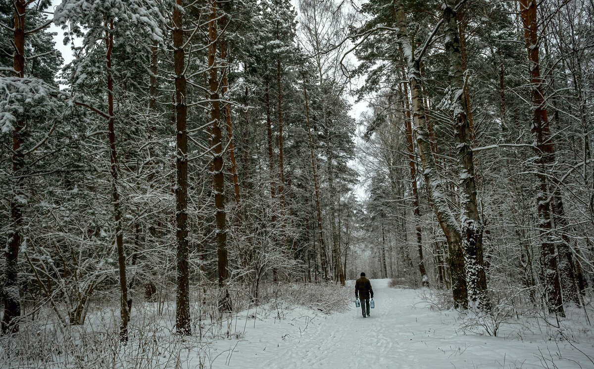 С родниковой водой - Сергей Цветков С родниковой водой - Сергей Цветков