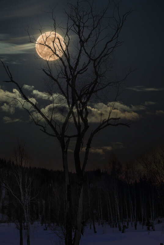 --- - Евгений Голубев --- - Евгений Голубев