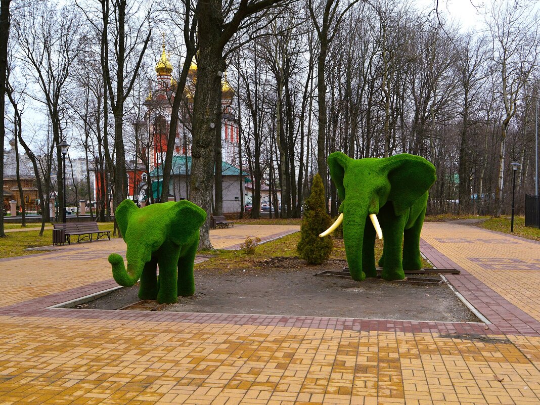 Чебоксары. Топиарий «Слоны». - Пётр Чернега Чебоксары. Топиарий «Слоны». - Пётр Чернега