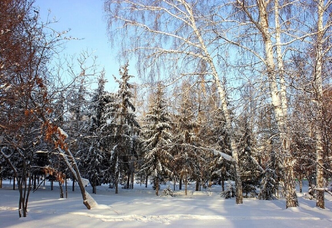 В городском сквере - Галина Нестратова