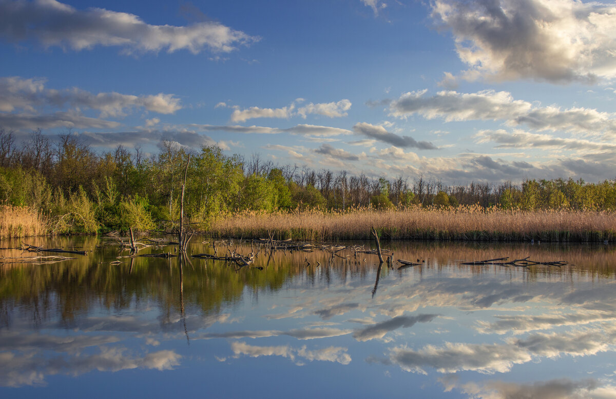 Утро. - Александр. AVG100 ---