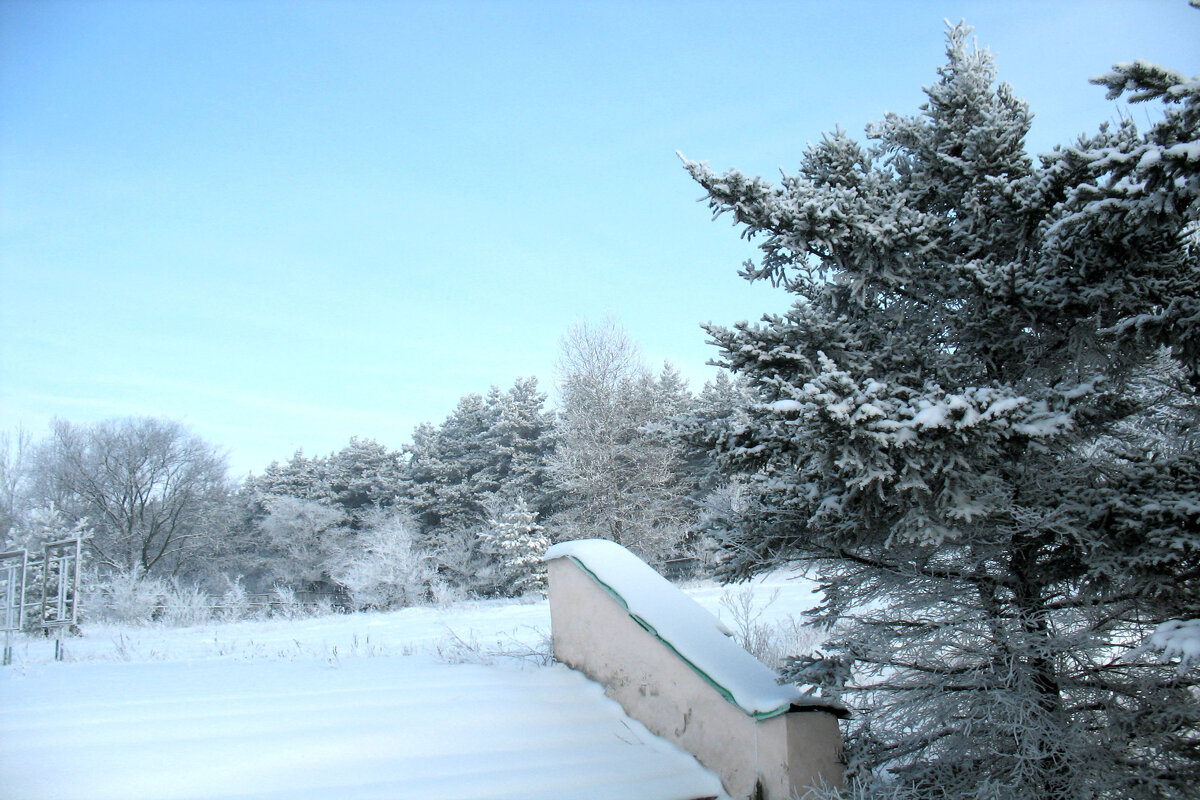 *** - Андрей Л. В.